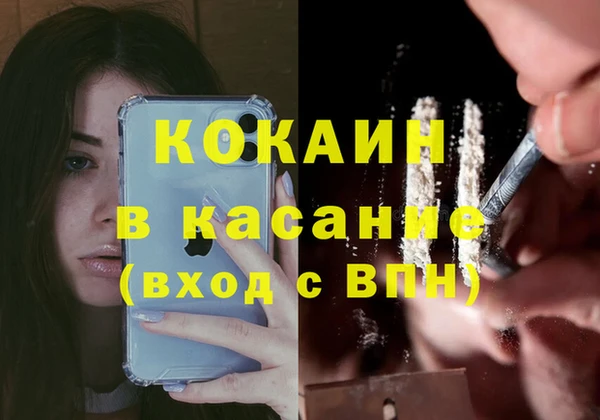 гашик Козельск