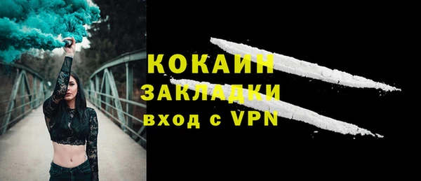 гашик Козельск