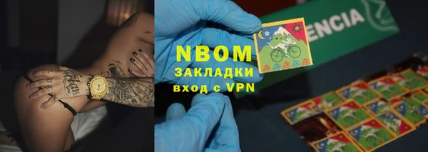 гашик Козельск