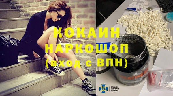 гашик Козельск