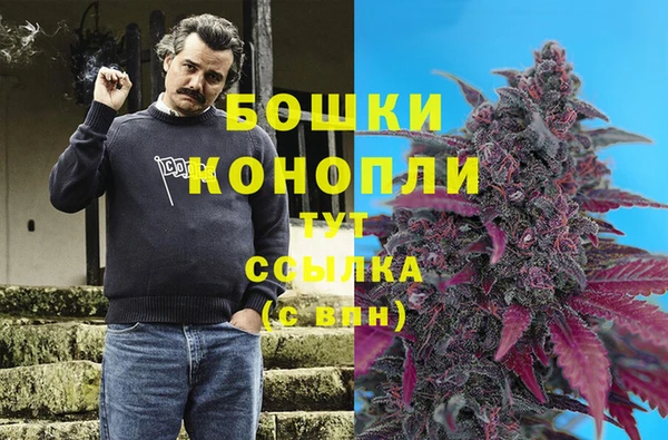 гашик Козельск