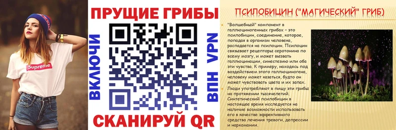 цены наркотик  Костомукша  Галлюциногенные грибы прущие грибы 